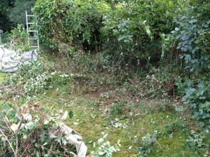 garden clearance in Wokingham