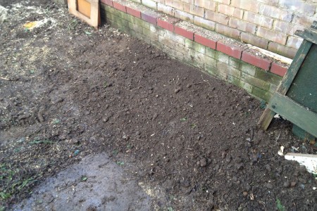garden clearing-tree roots removed
