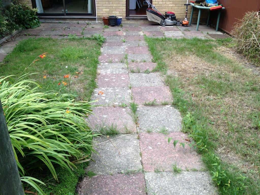 Garden and patio cleaning