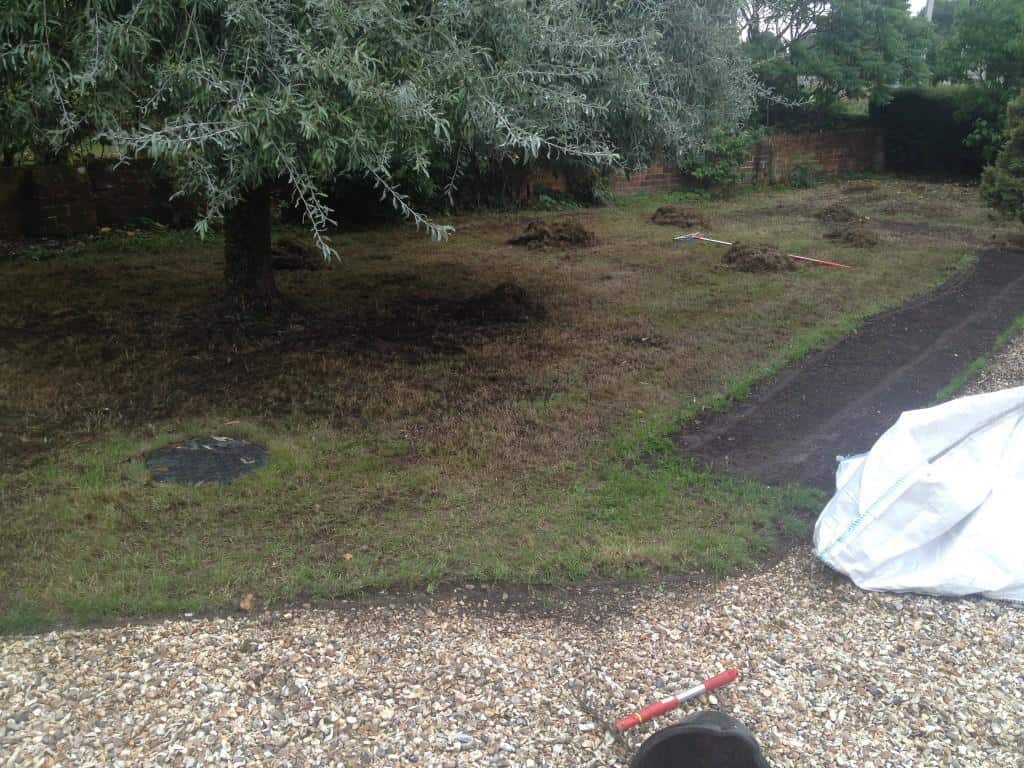 Front garden lawn being scarified