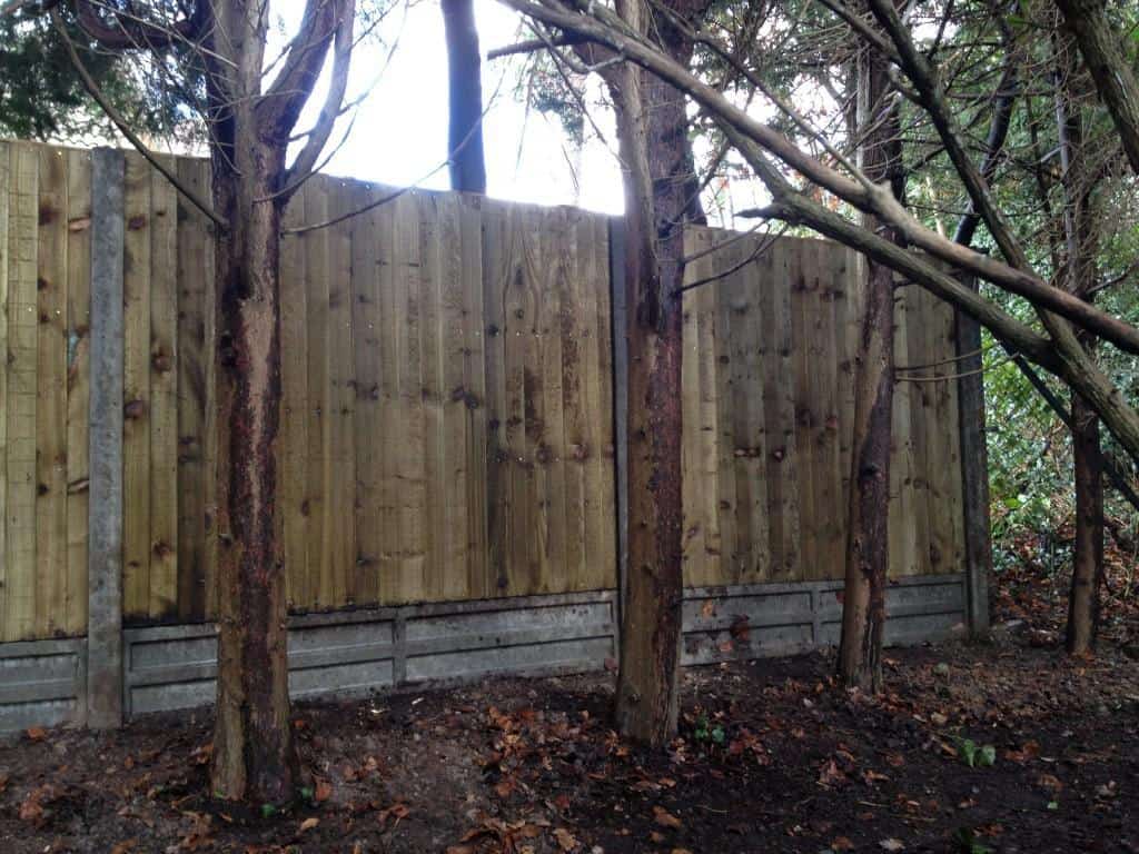 fencing project finished