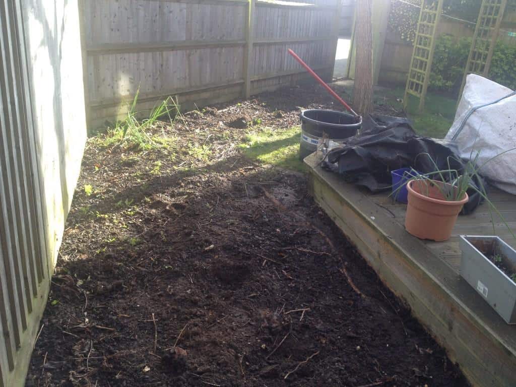 before lawn edging and turfing