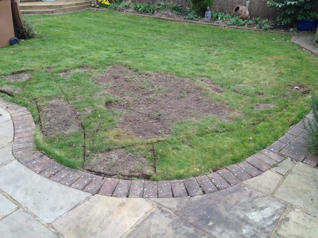 Lawn patch up | returfing bare patches