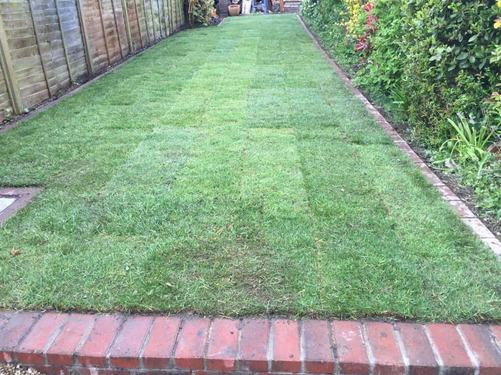 Lawn edging construction and returfing.
