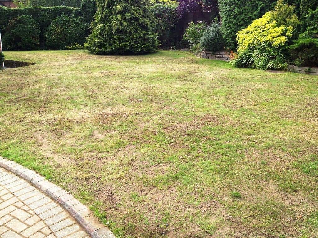 lawn treatment aerating and top dressing