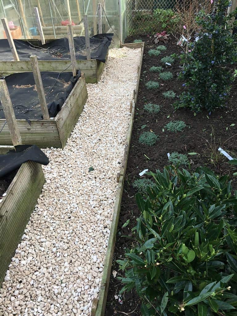 Refreshed gravel area and new ground cover planting