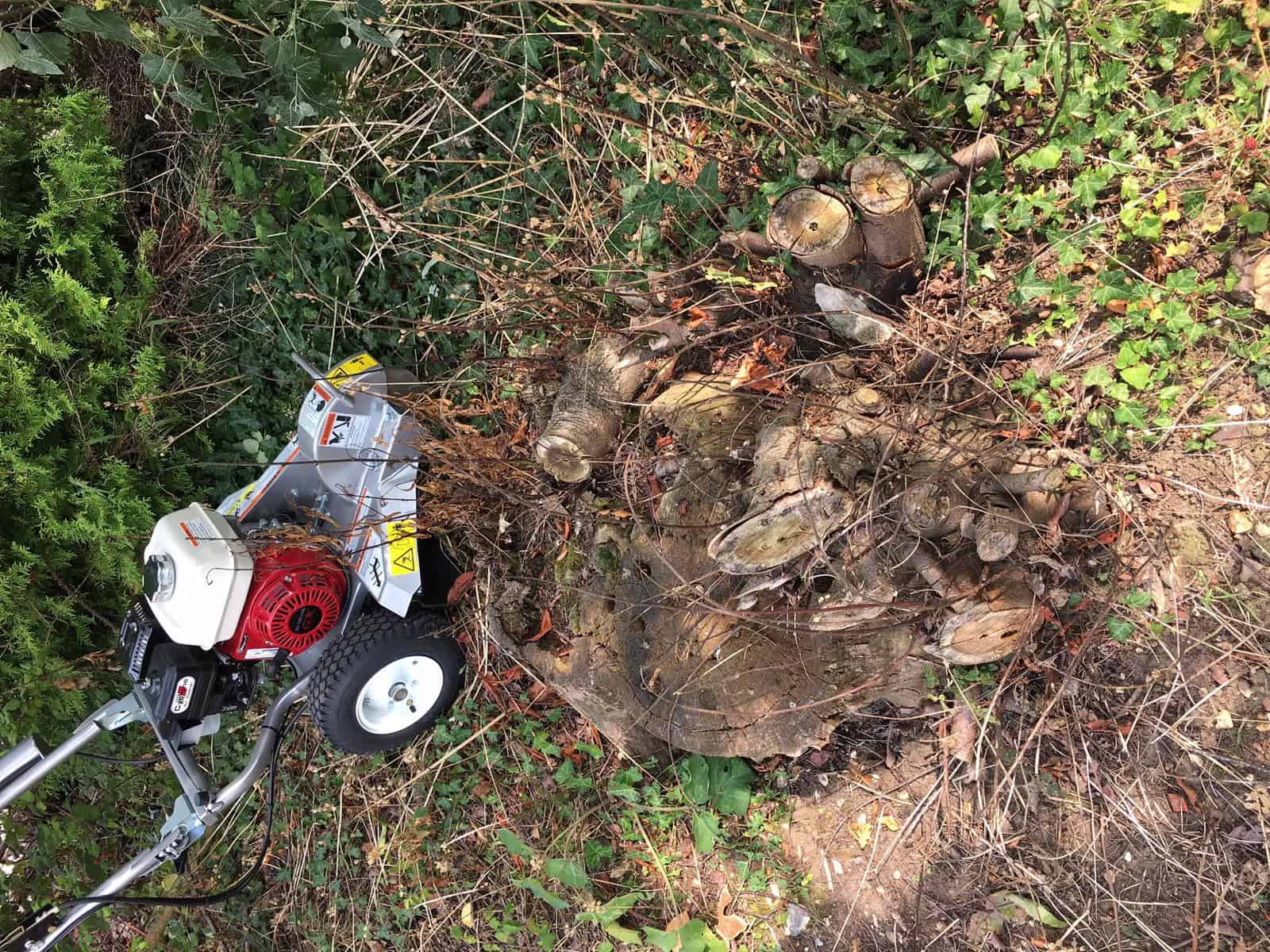 stump removal service