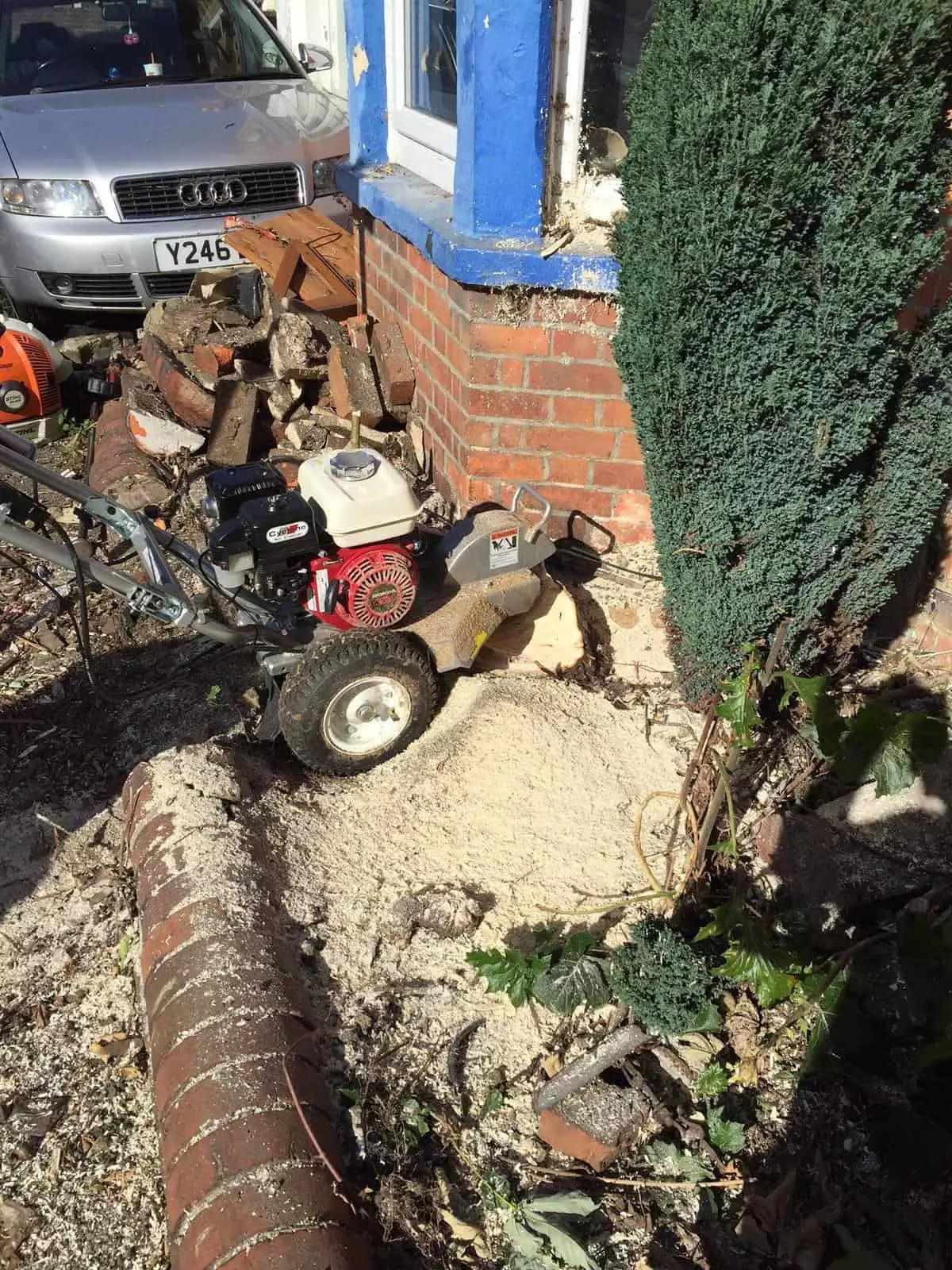 Tree stump grinding / removal service in Reading