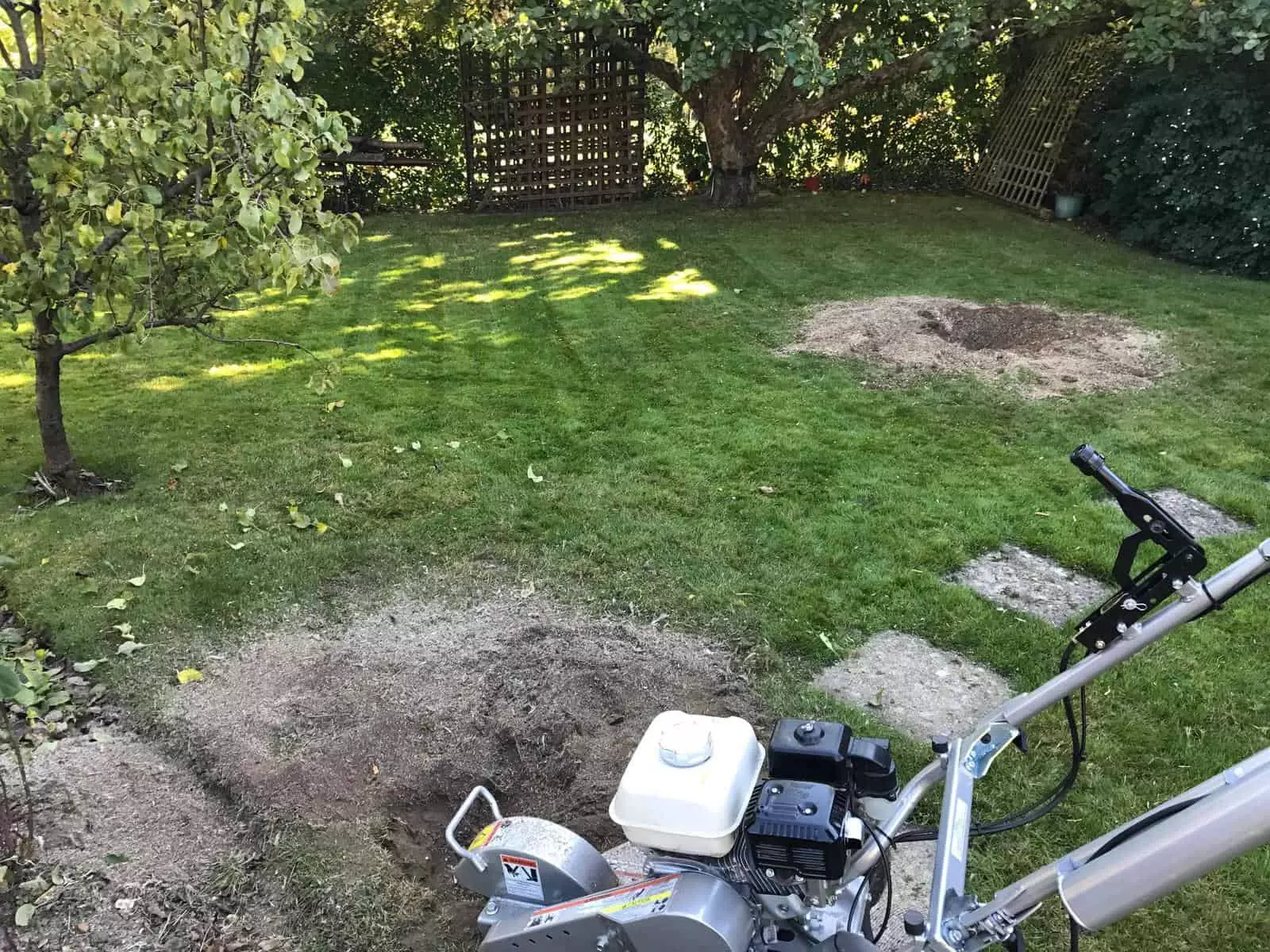 2 apple tree stumps removed in Earley