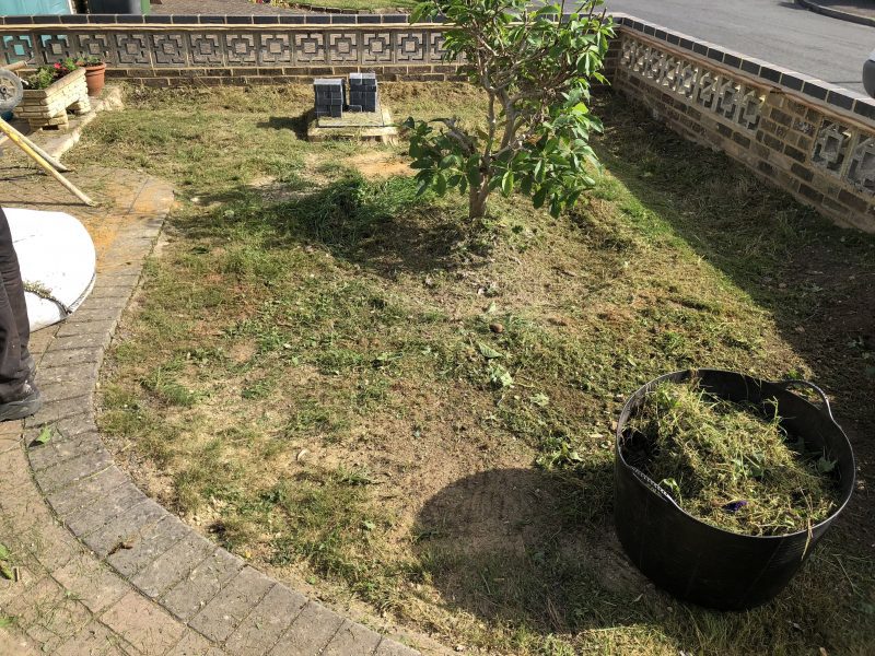 Busy Saturday - TIDY GARDENS for all your garden needs.