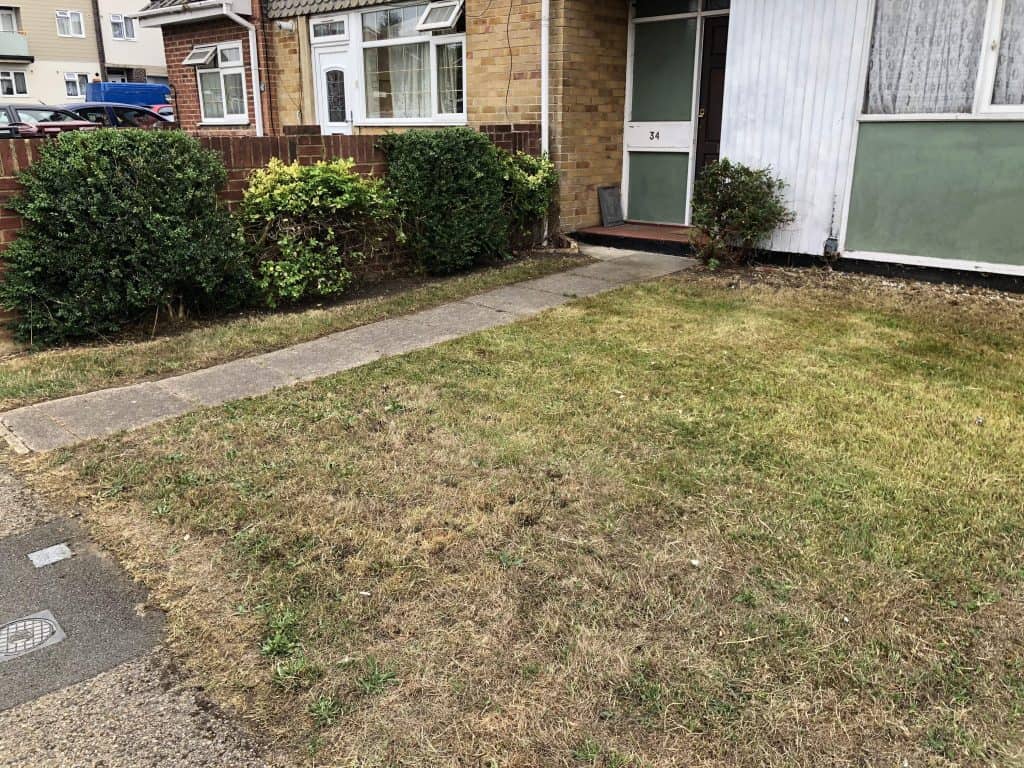 Front garden tidy up - TIDY GARDENS for all your garden needs.