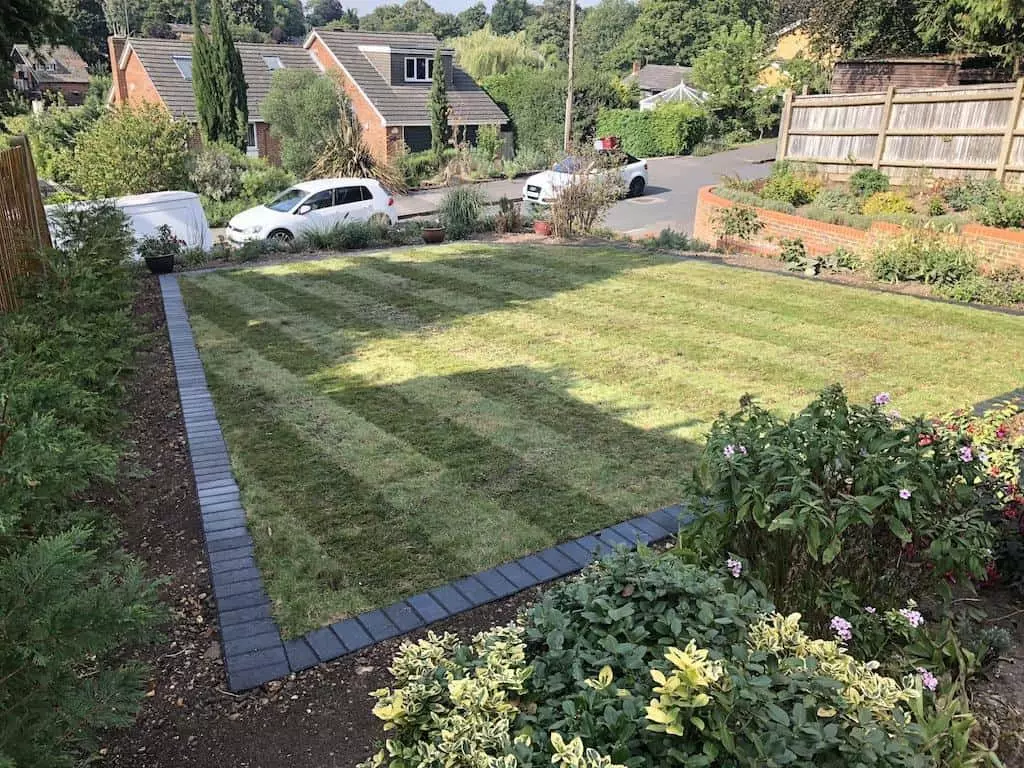New and better lawn area