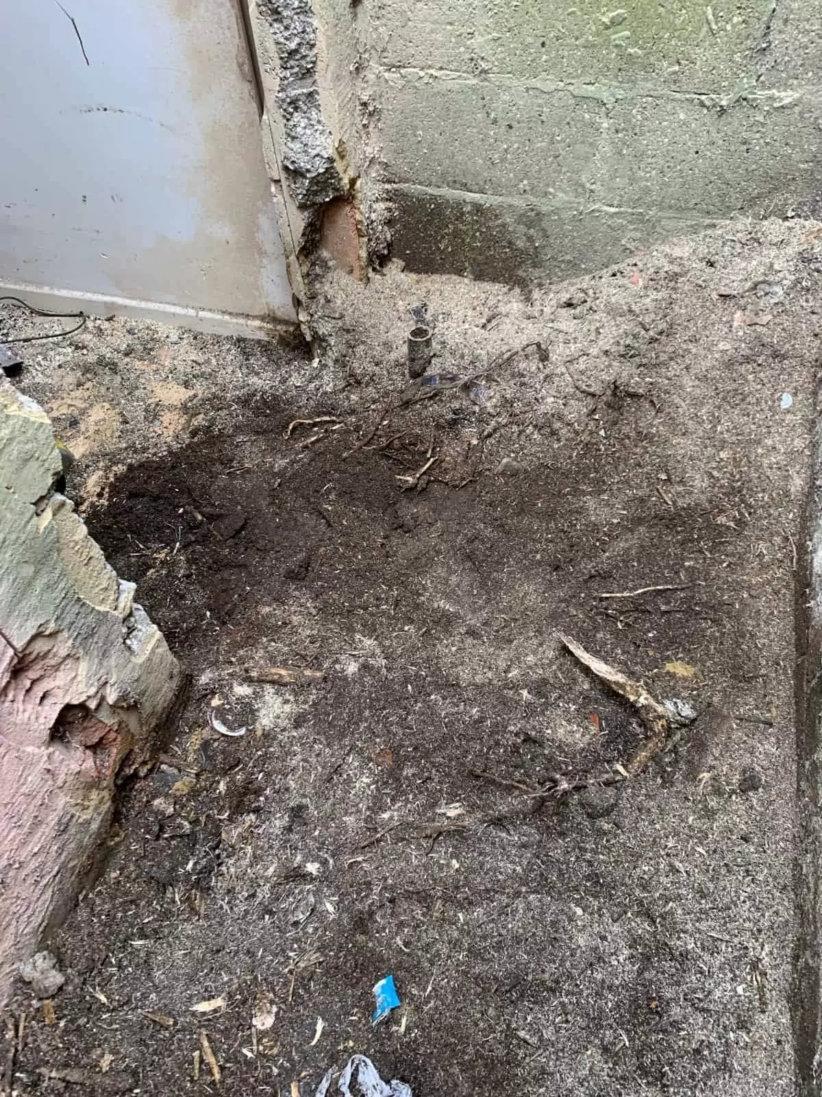 Tree stump removed