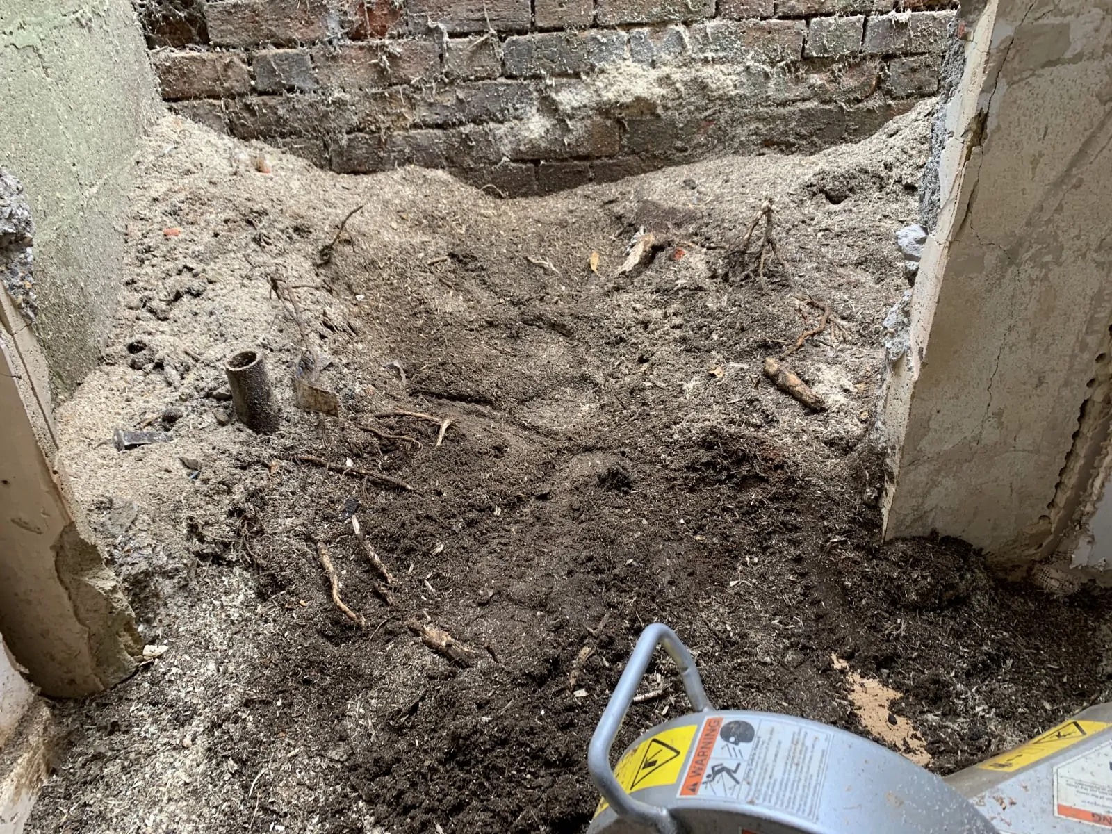 Tree stump removed