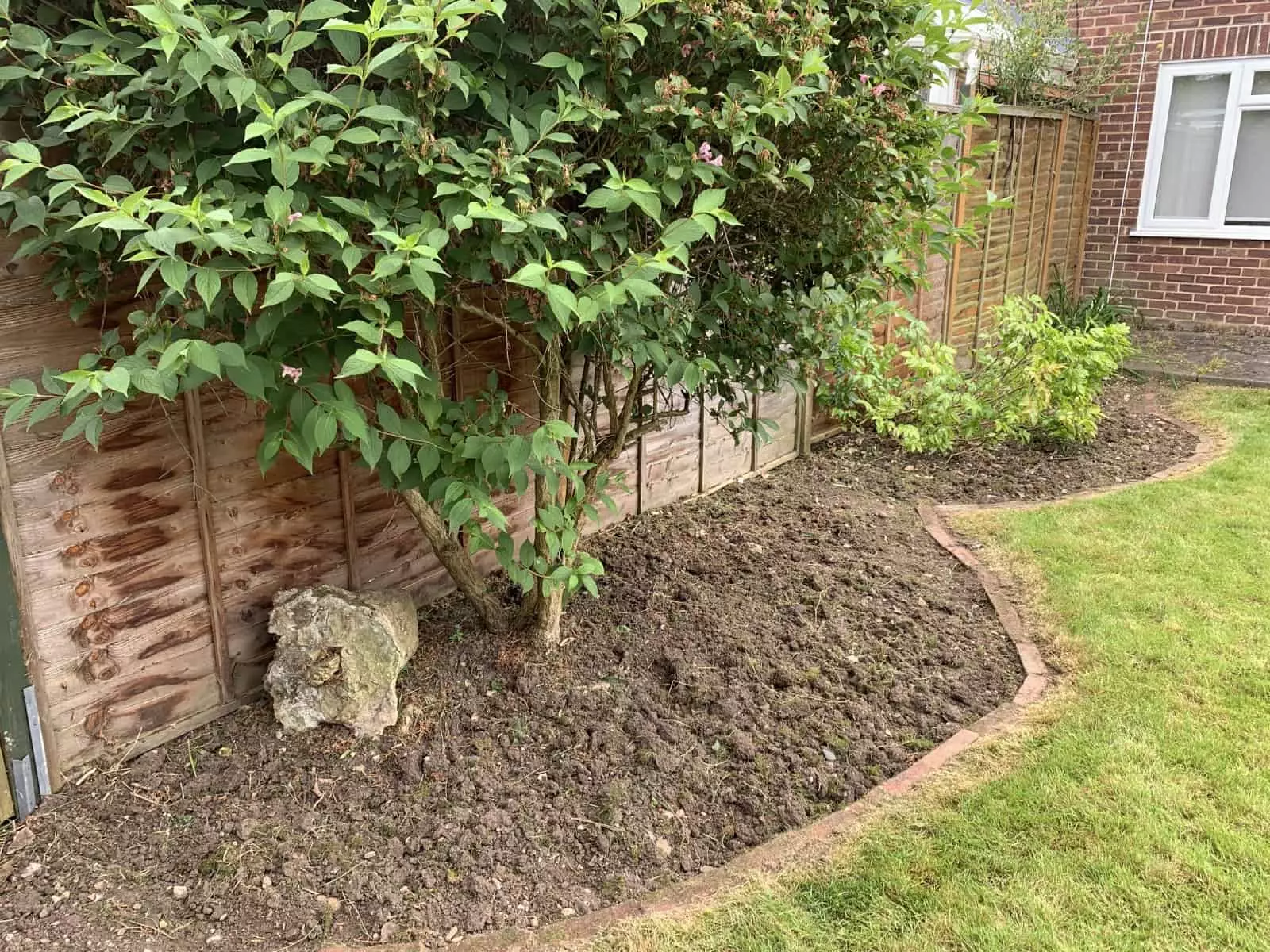 Garden tidy up – lots of weeding !