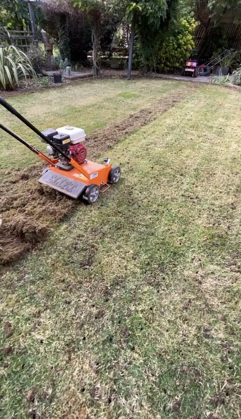 Autumn lawn treatments