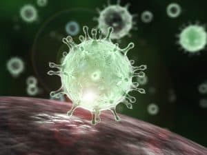 Photo of SARS virus which displays coronavirus crownlike appearance