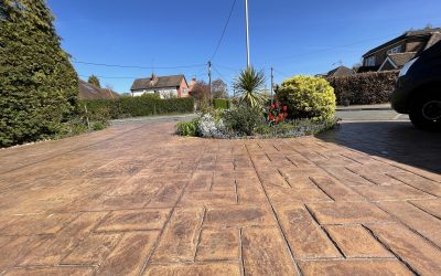 Year round garden maintenance