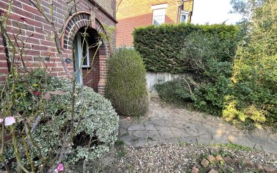 Garden needs a tidy up ?