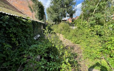 land clearance for land owners